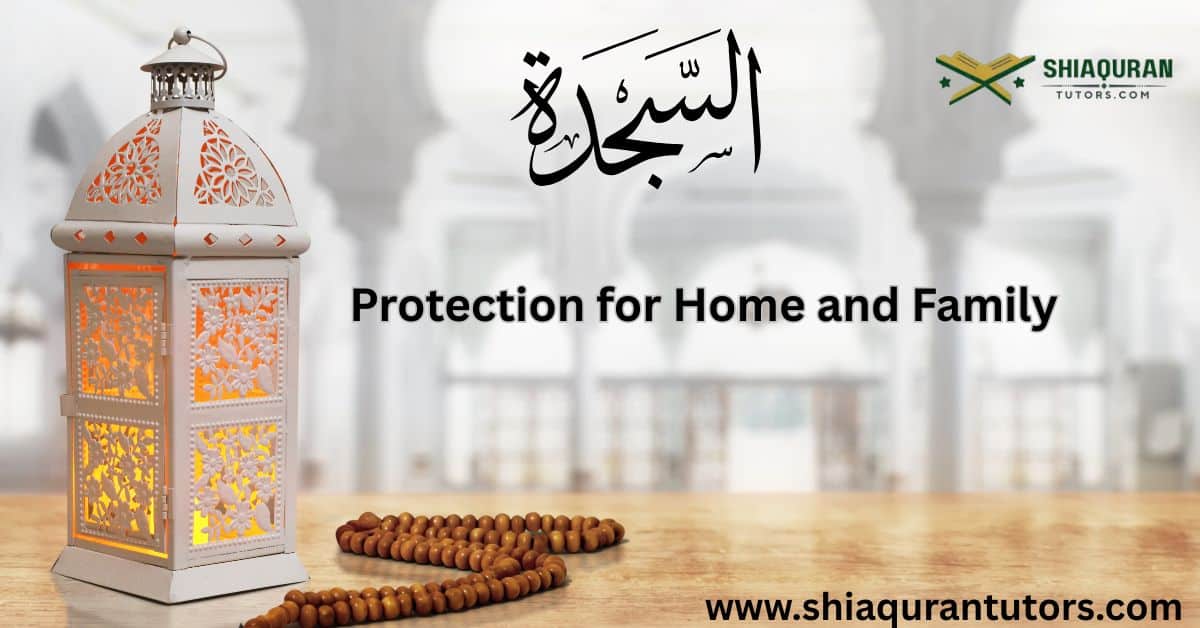 Protection for home and family image